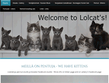 Tablet Screenshot of lolcatscattery.com